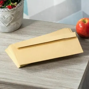 25 x CARDBOARD ENVELOPE A3