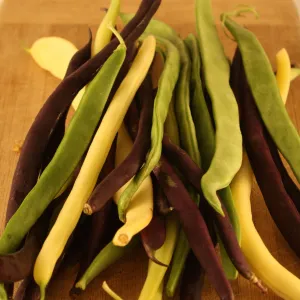 5 x Mélange de Haricots Grimpants