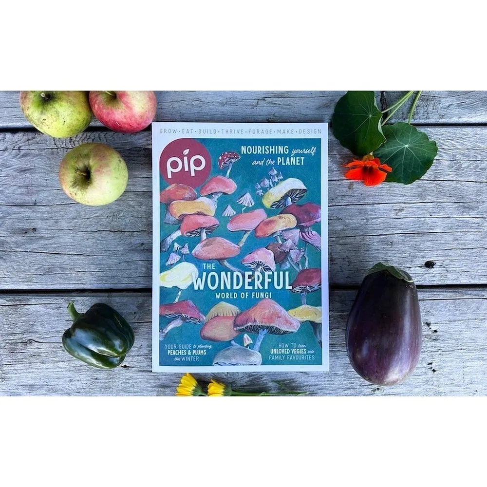 6-Pack Pip Magazine Back Issues 32 through to 26 Plus a Pip Tote Bag