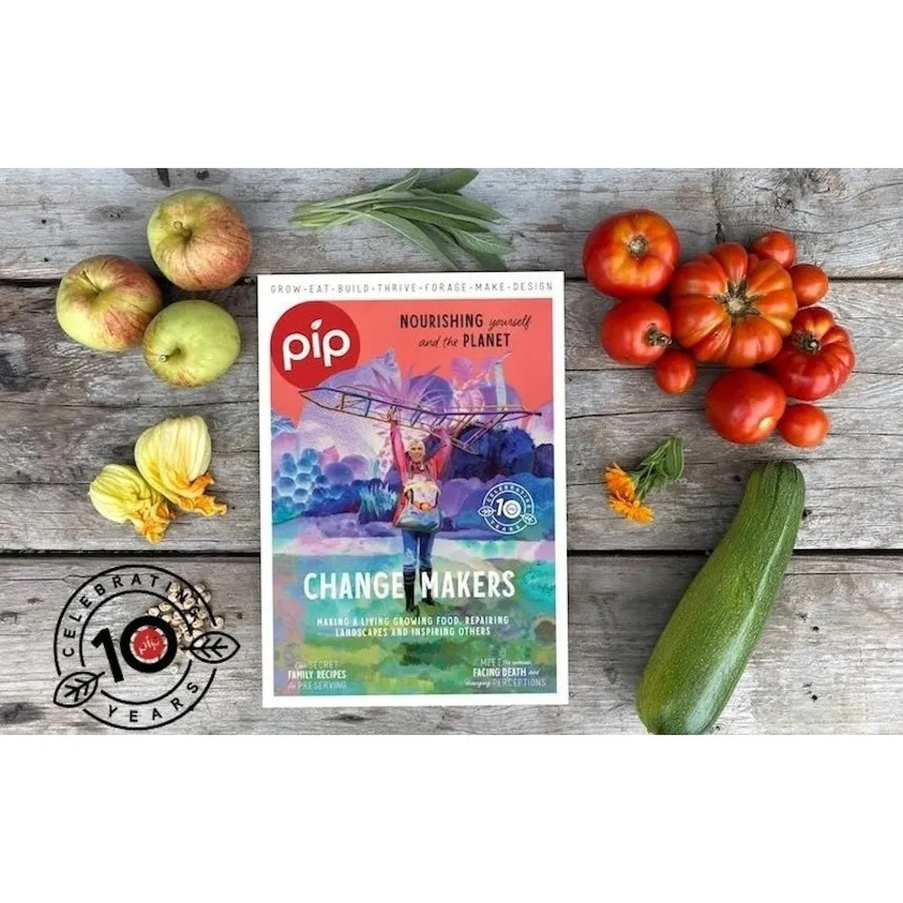 6-Pack Pip Magazine Back Issues 32 through to 26 Plus a Pip Tote Bag