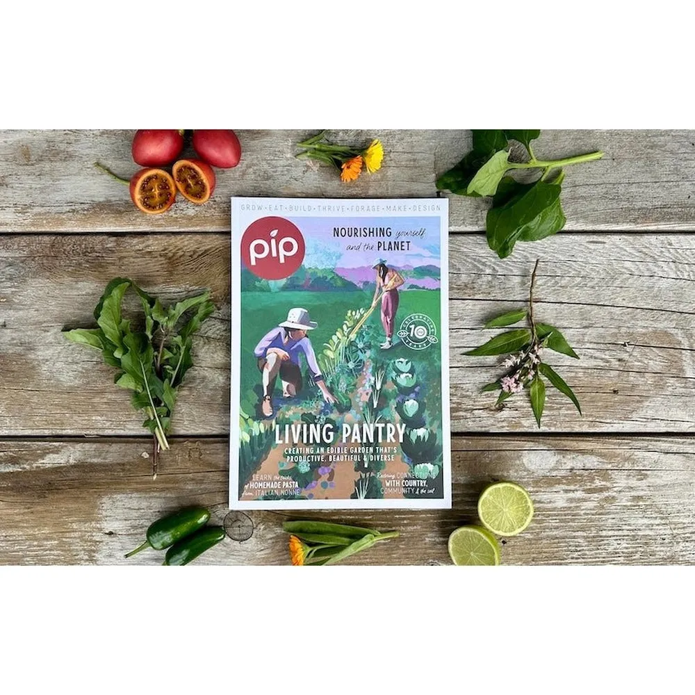 6-Pack Pip Magazine Back Issues 32 through to 26 Plus a Pip Tote Bag