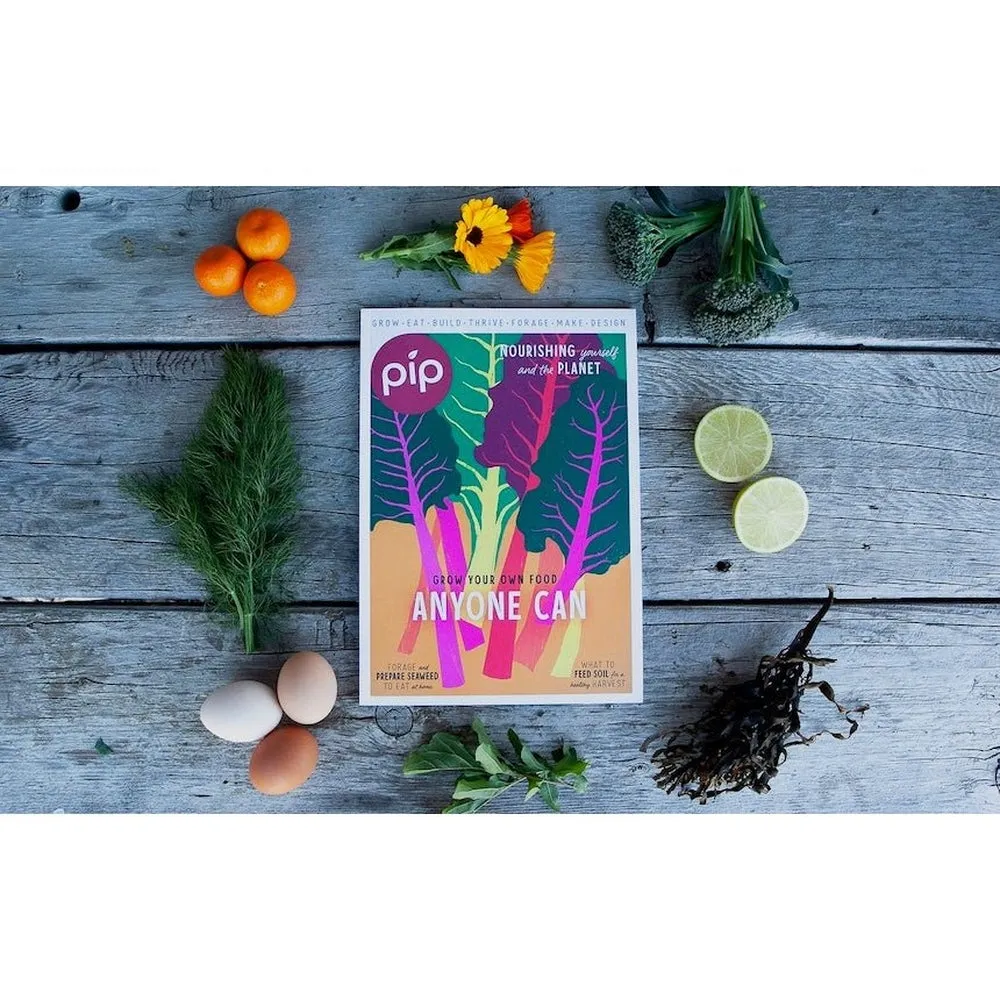 6-Pack Pip Magazine Back Issues 32 through to 26 Plus a Pip Tote Bag