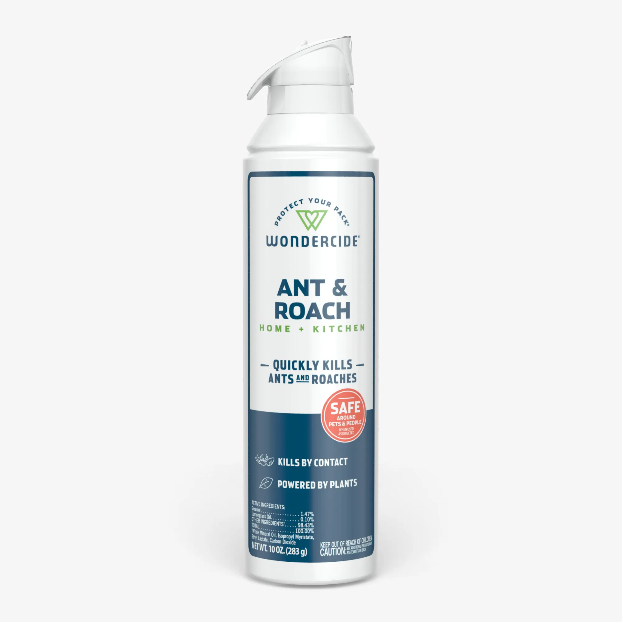 Ant & Roach for Home   Kitchen with Natural Essential Oils