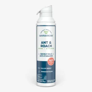 Ant & Roach for Home   Kitchen with Natural Essential Oils
