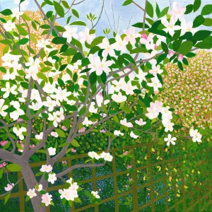 Apple Blossom Greetings Card