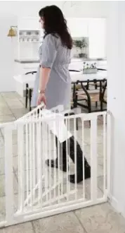 Baby Dan Two-Way Auto Close Safety Gate with 4 extensions