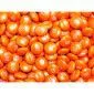 Bulk Orange M&M's 2pounds M&M Colorworks