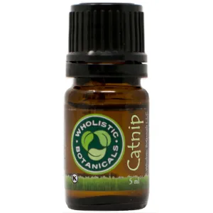 Catnip Essential Oil