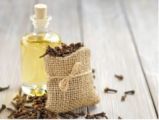 Clove Oil | Karanfil yagi | 20ml