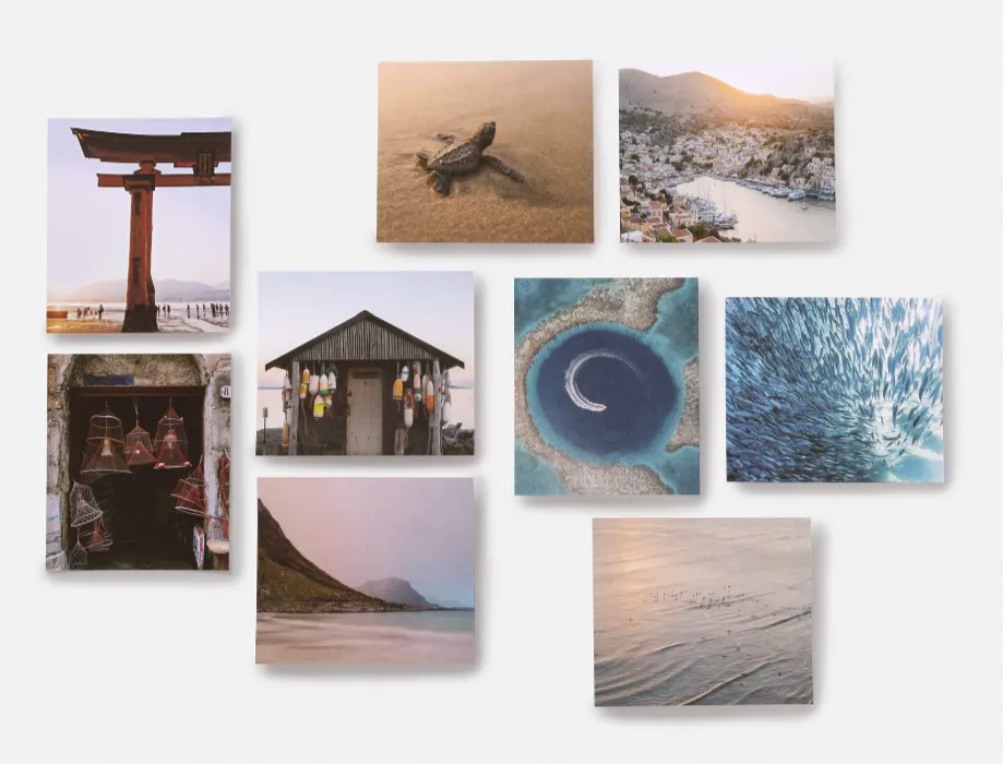 Coastlines