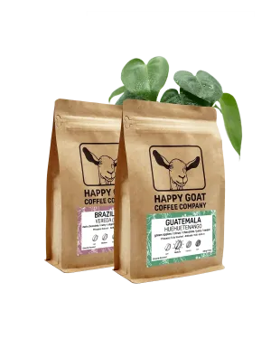 Coffee Subscription Box (2 Bags)