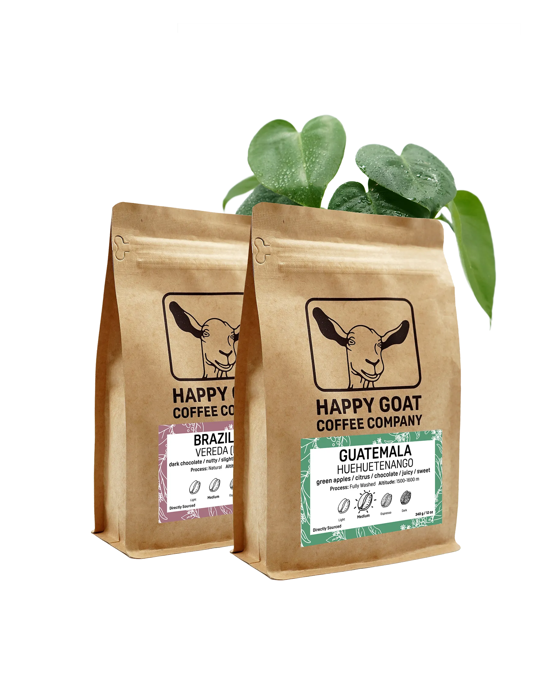 Coffee Subscription Box (2 Bags)