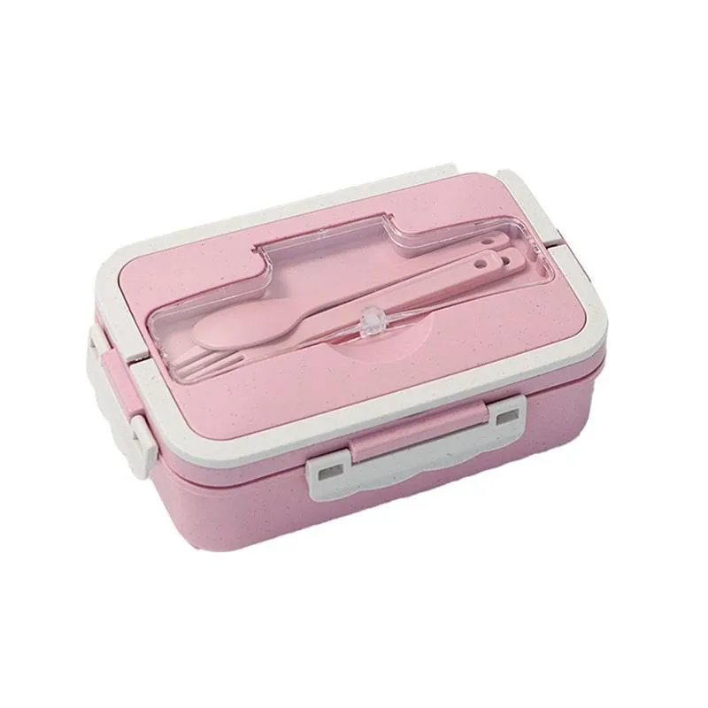 Day in Day Out Eco-Friendly Bento Box