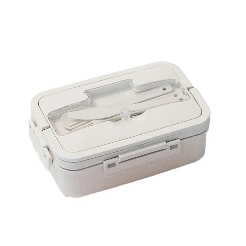 Day in Day Out Eco-Friendly Bento Box