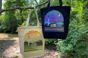 Day/Night Tote Bags
