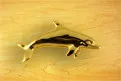 Dolphin Drawer Pull - Left Facing Right
