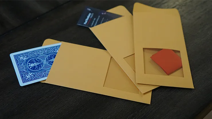 DP SWITCHING ENVELOPE by Paul Romhany