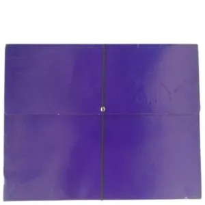 Eagle Expanded Envelope Long Violet