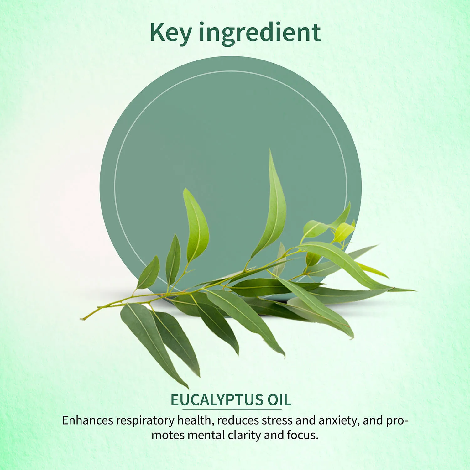 Eucalyptus Essential Oil 15ml