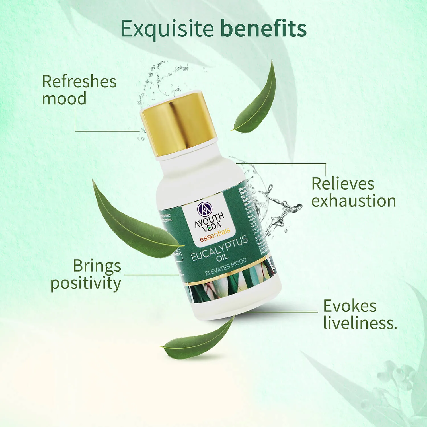 Eucalyptus Essential Oil 15ml