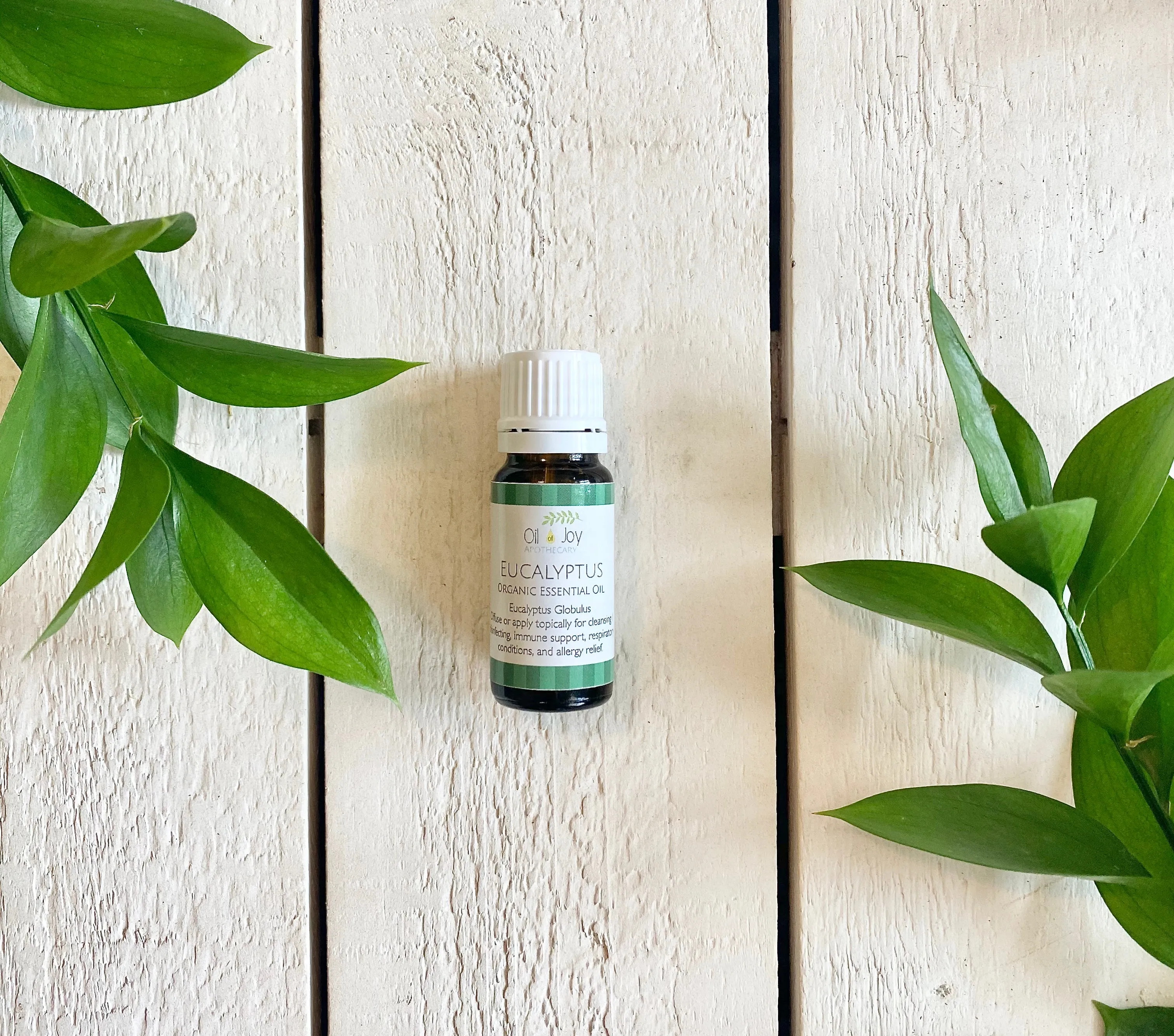 Eucalyptus Essential Oil, Organic