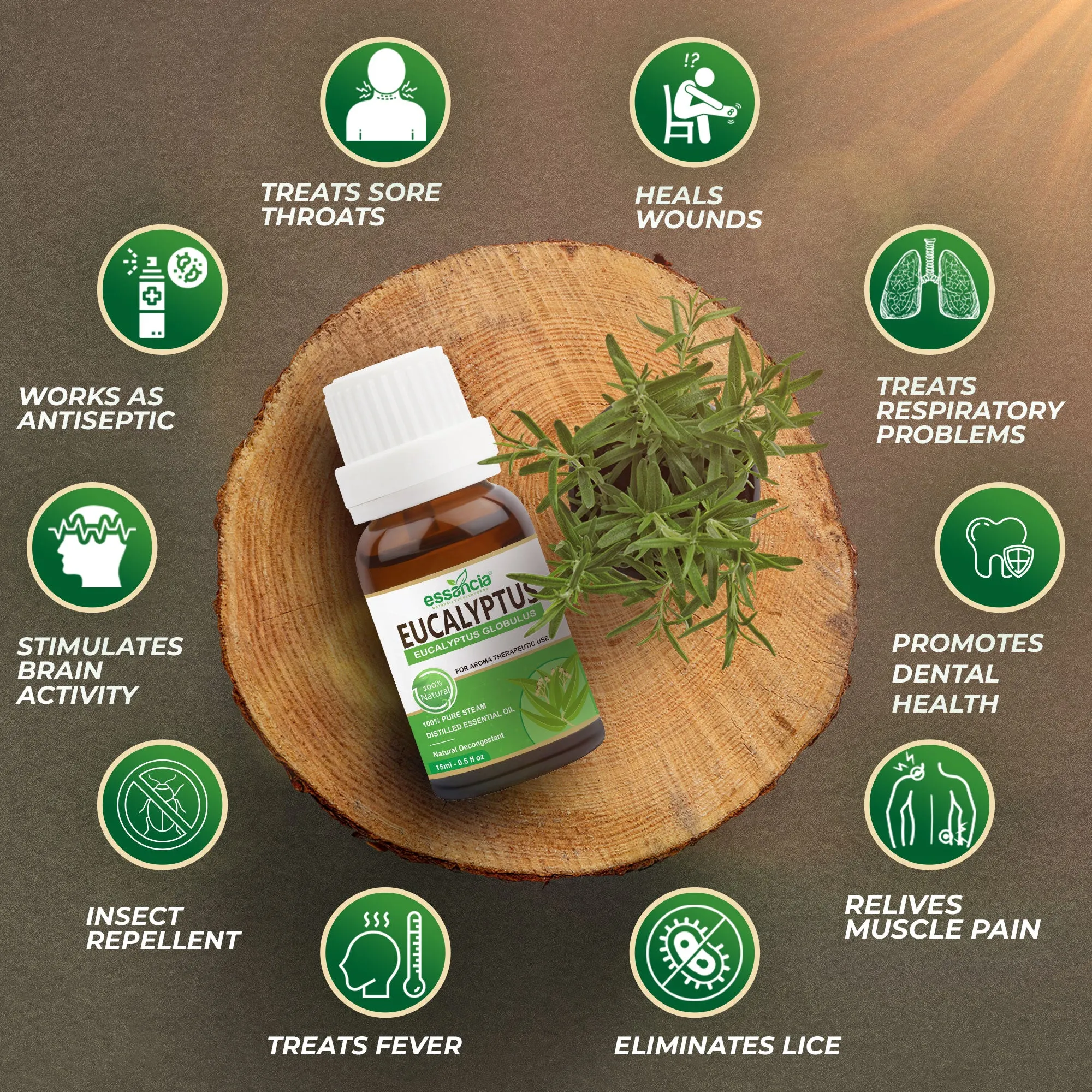 Eucalyptus Essential Oil