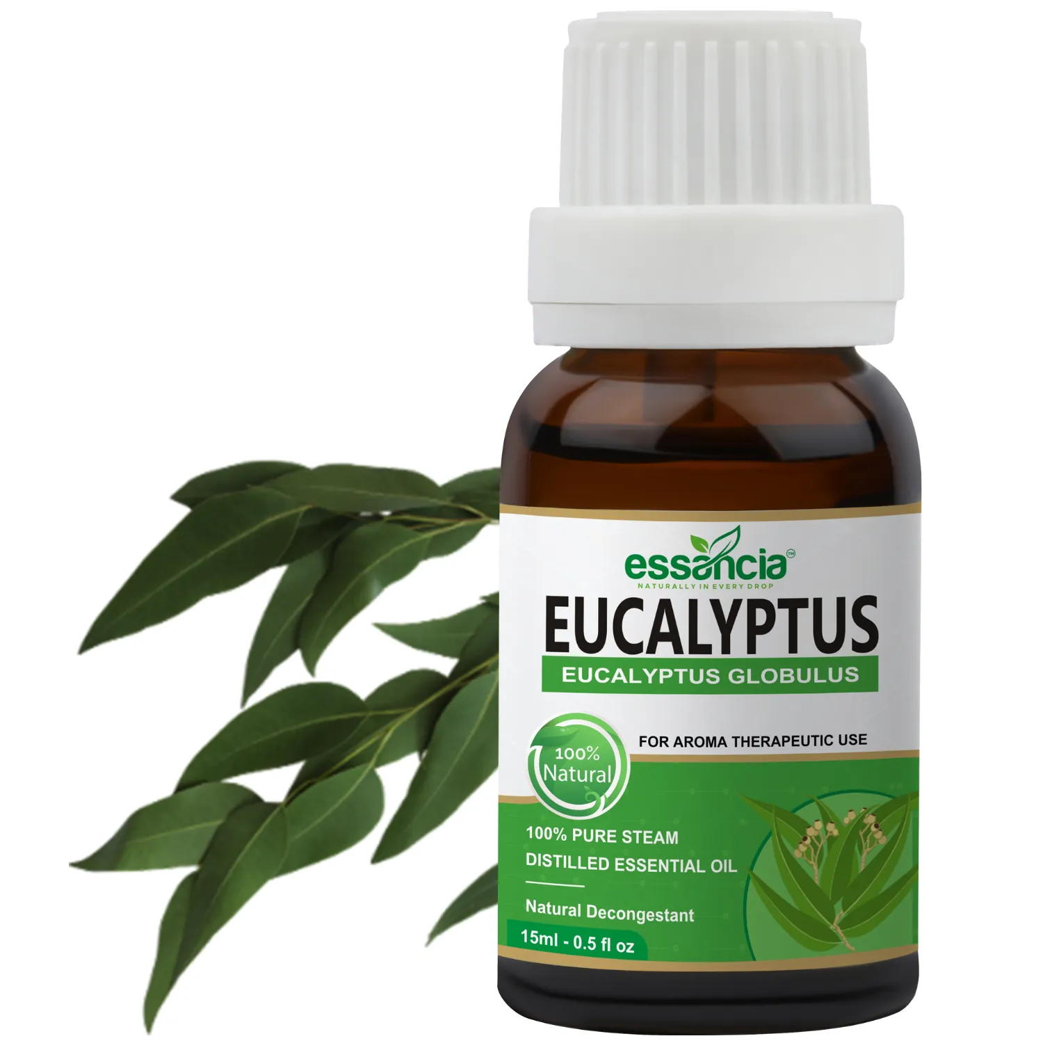 Eucalyptus Essential Oil