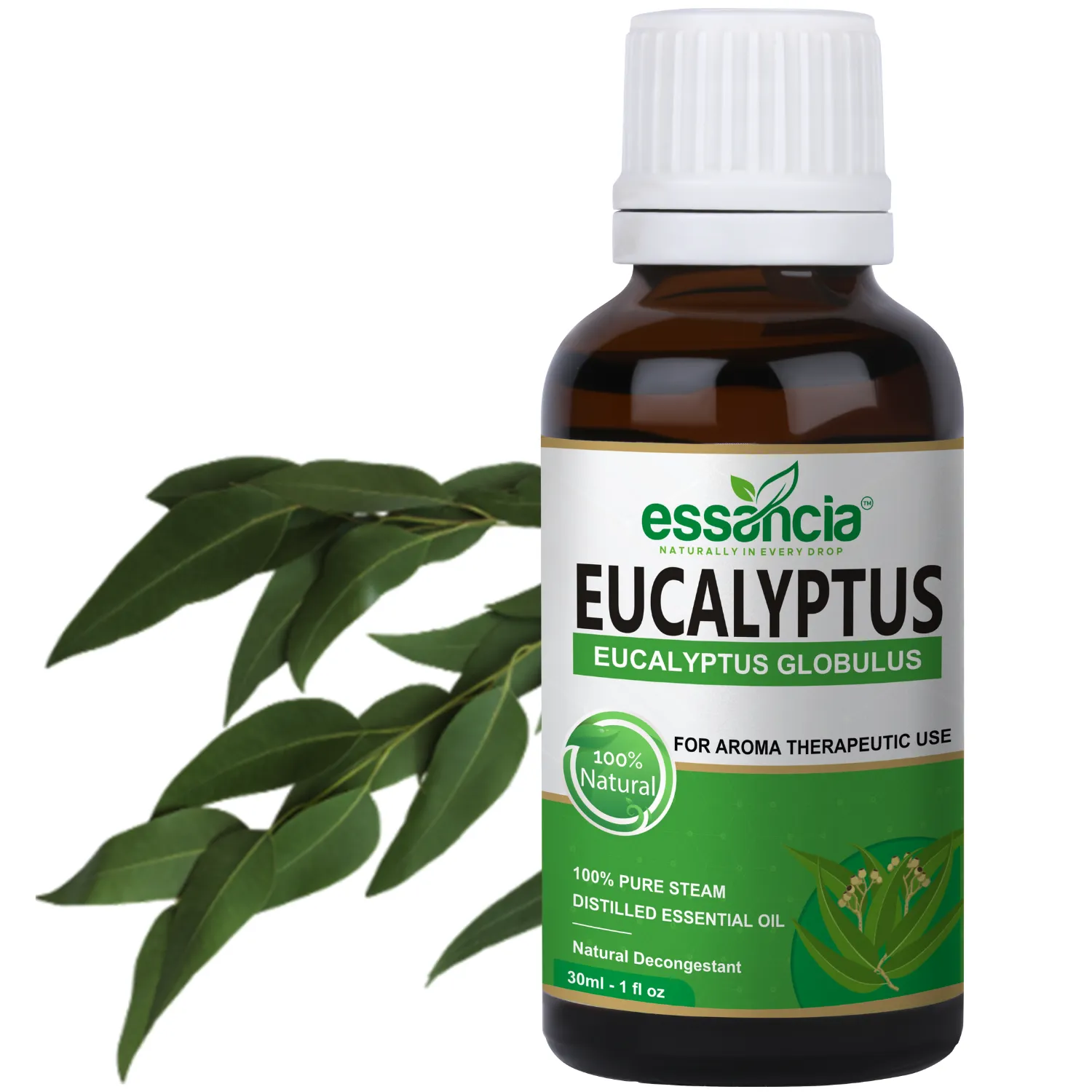 Eucalyptus Essential Oil
