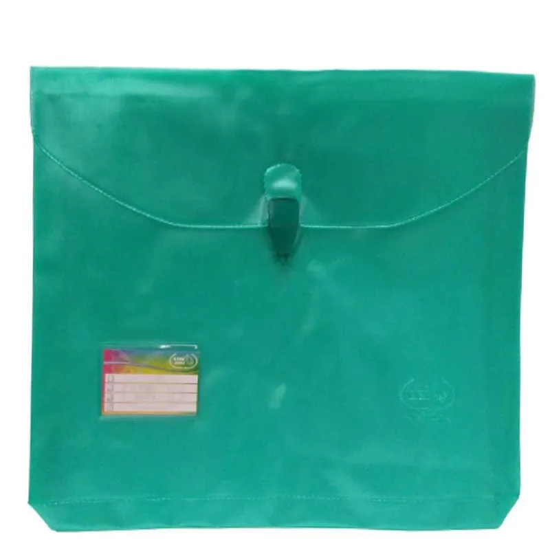 Flying Eagle New Colored Expanded Envelope