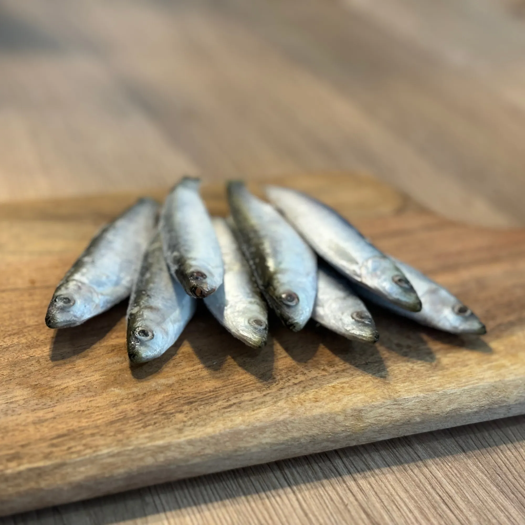 Frozen Sprats
