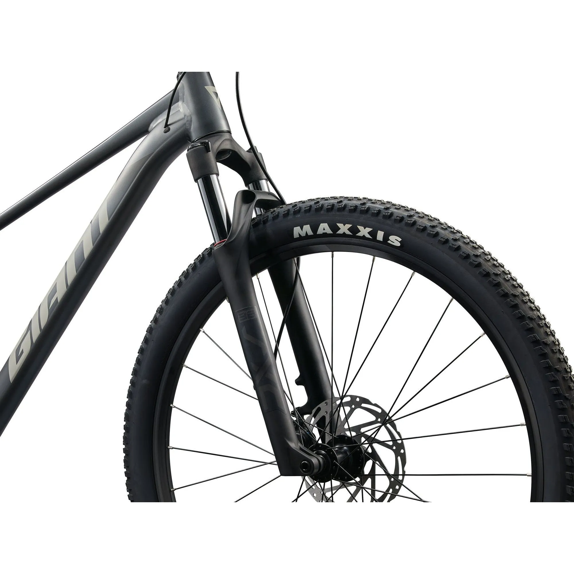 Giant 2025 Talon 29 1 Mountain Bike