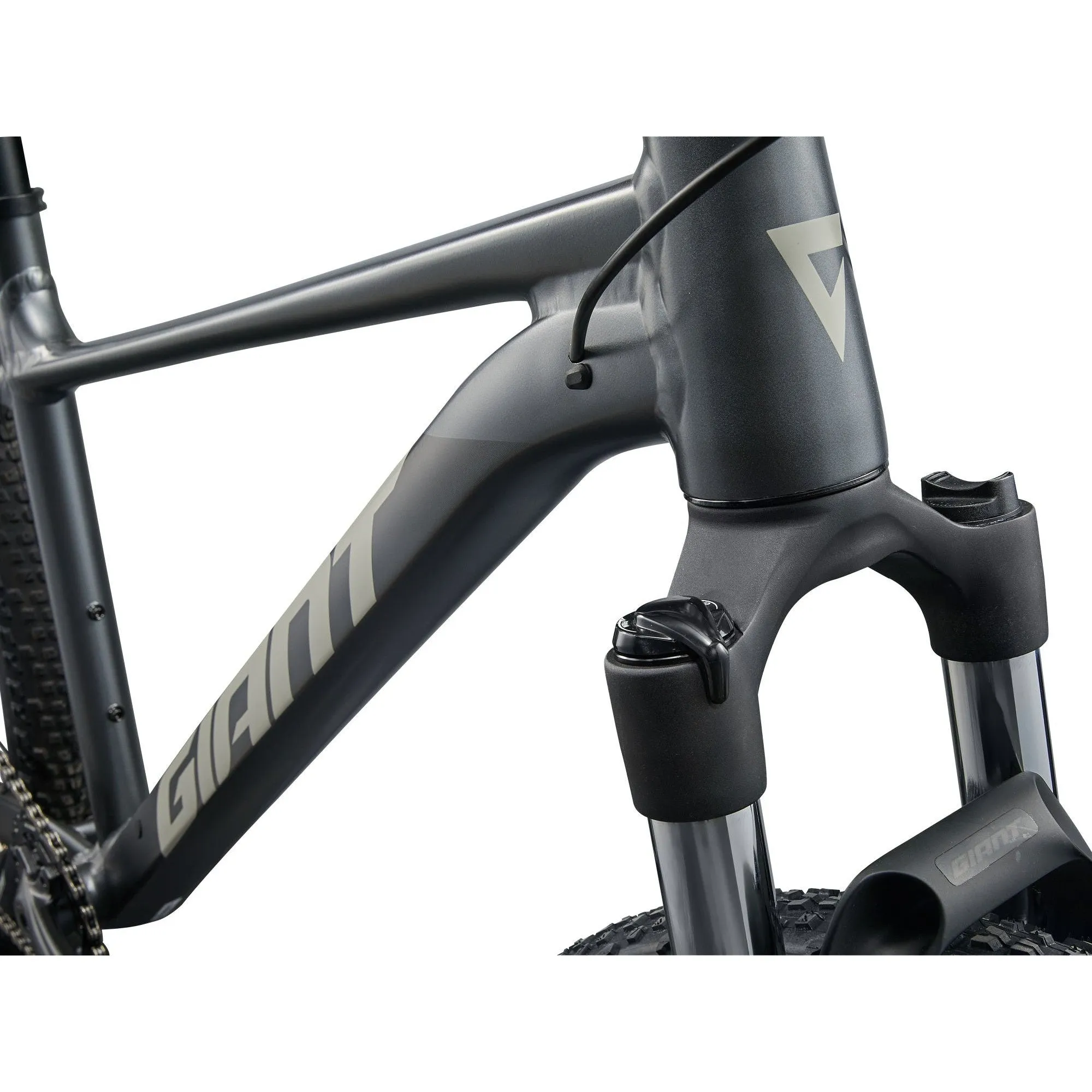 Giant 2025 Talon 29 1 Mountain Bike
