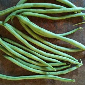 Haricot Grimpant Vert Cobra - semences bio