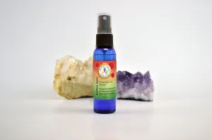 Holiday Spice Essential Oil Spray