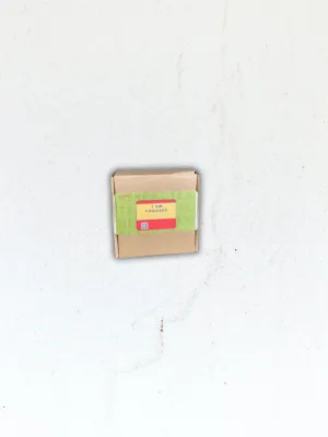 I Am Focused: Herbal Cleanse & Clarity Tea (12 Tea Bags)