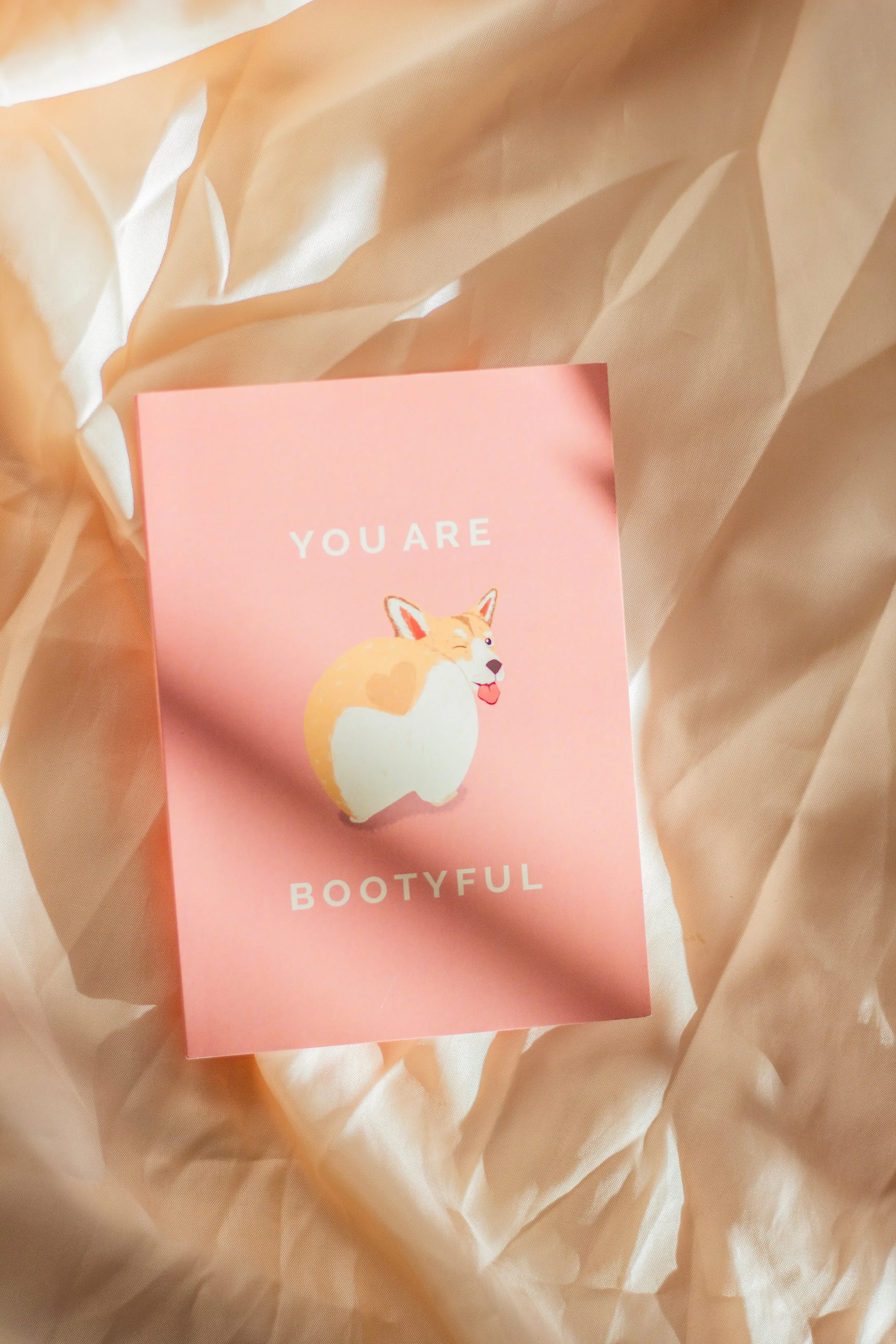 Juu Illustration Corgi Dog Card with Envelope