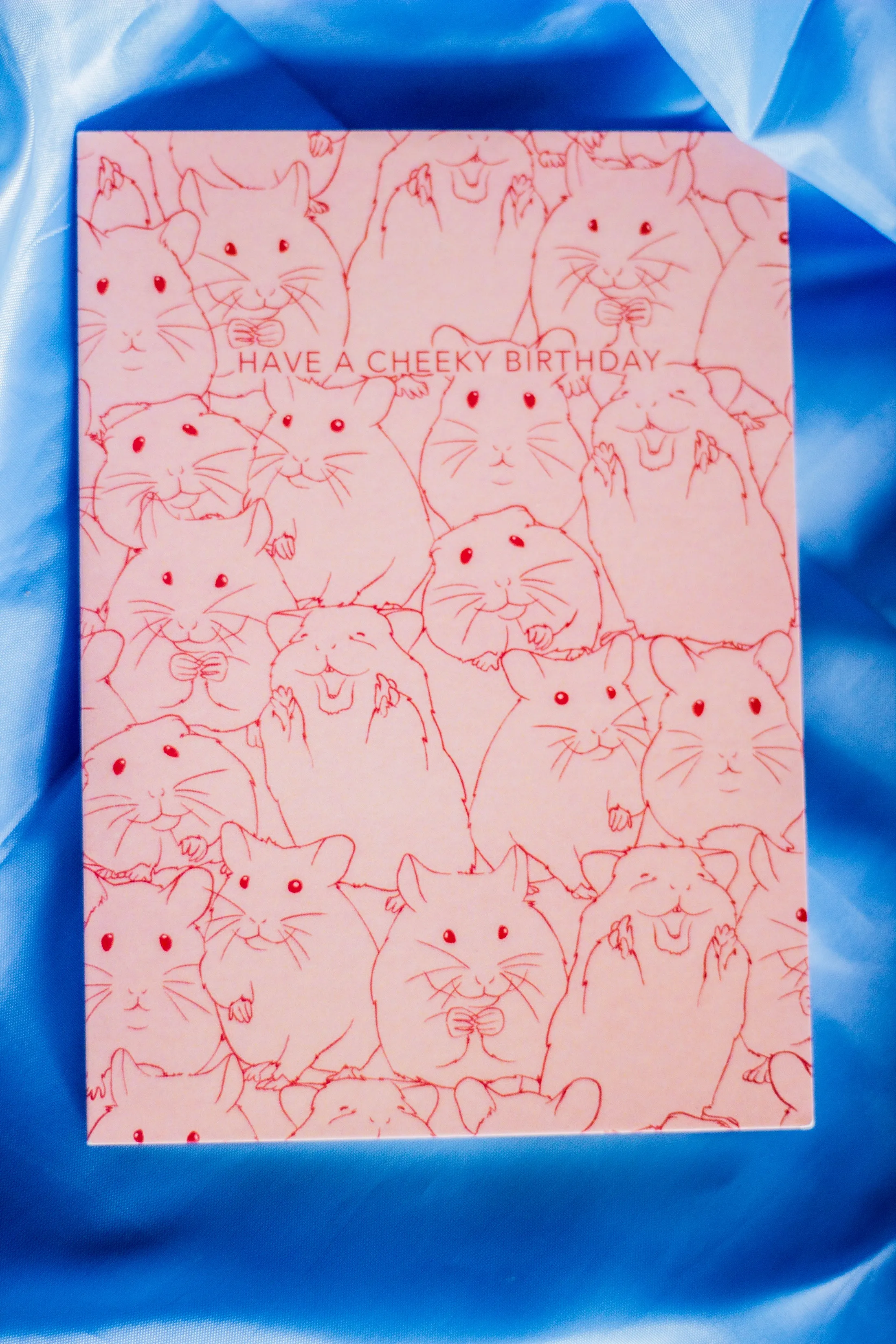 Juu Illustration Hamster Birthday Card with Envelope
