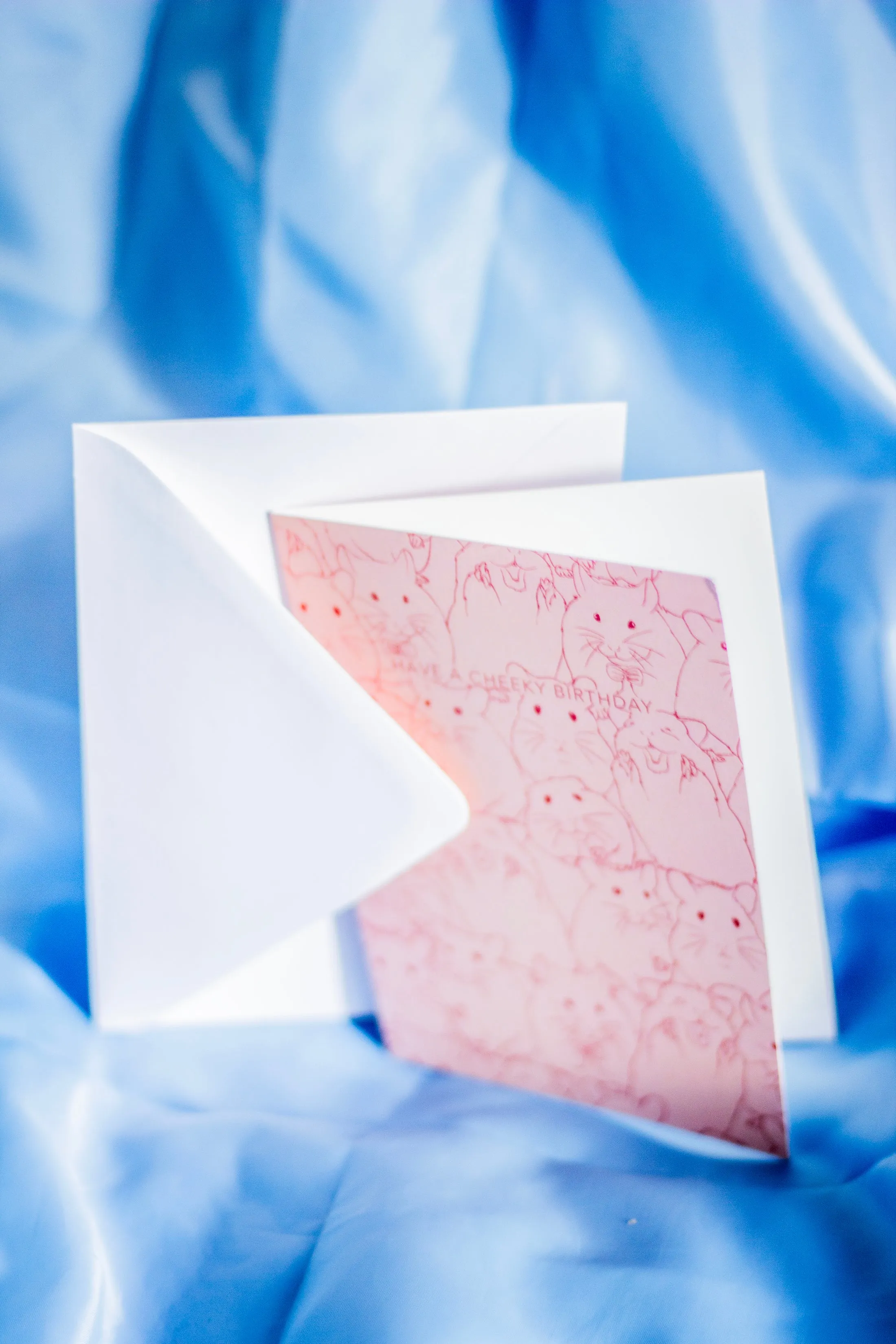 Juu Illustration Hamster Birthday Card with Envelope