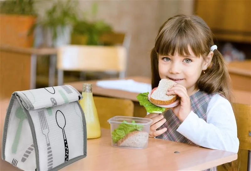 Kushies Sac Lunch easy Lunch – 2 Pack