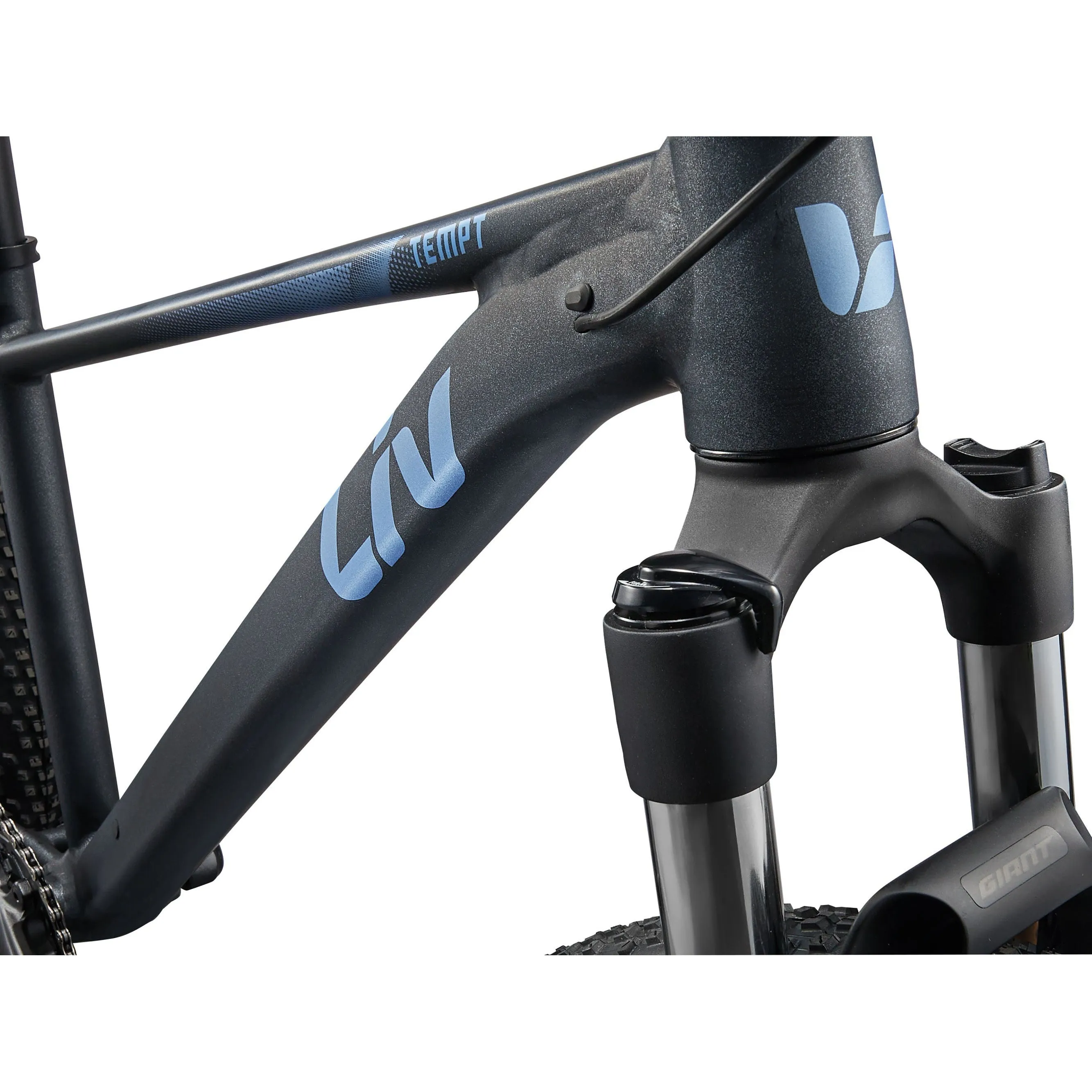 Liv 2025 Tempt 1 Mountain Bike