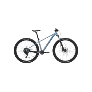 Liv Tempt 2 MTB - Frost Silver