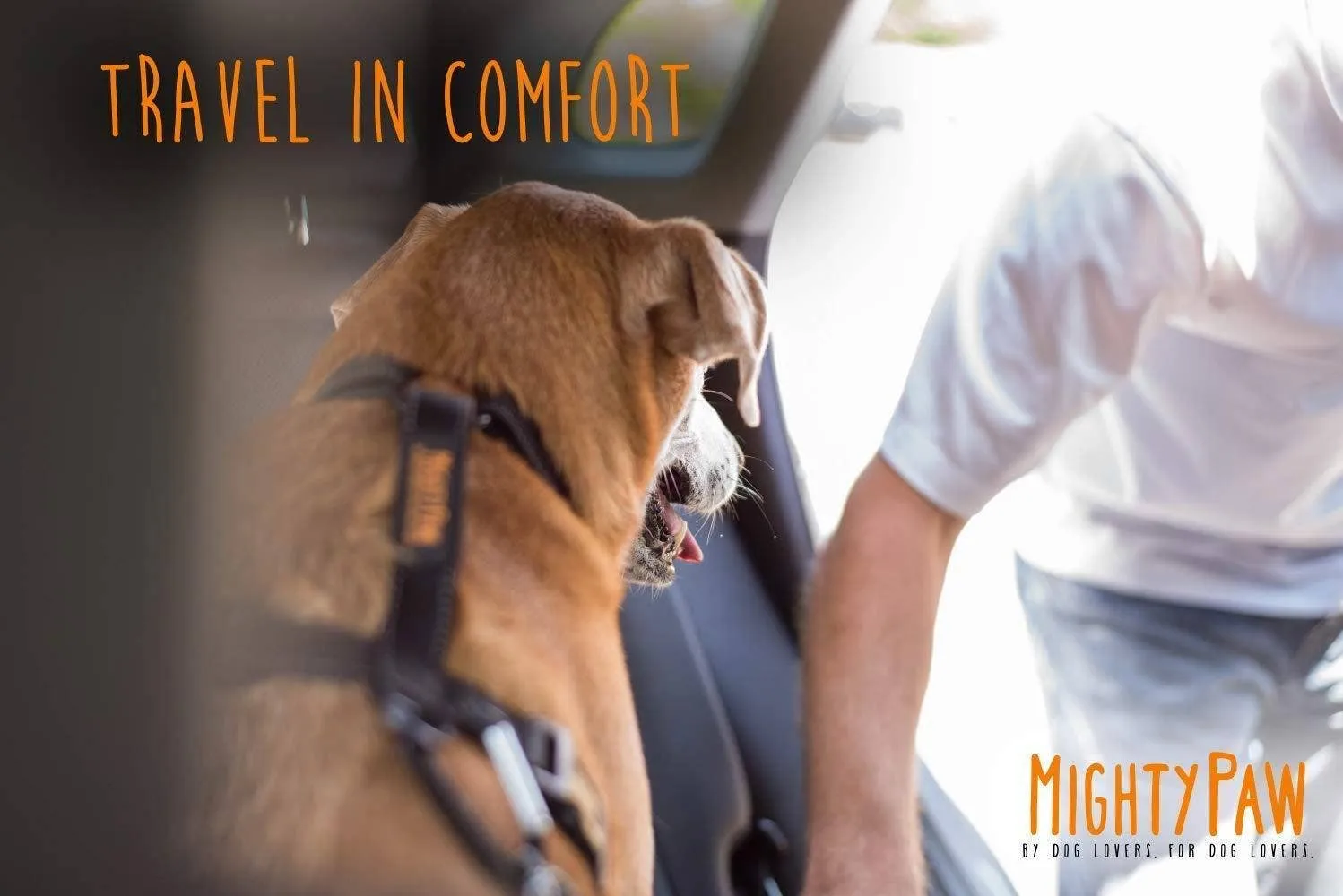 Mighty Paw - Dog Car Safety Belt