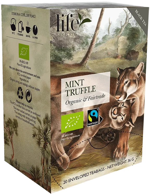 Mint truffle Black tea Life by Follis 20 Teabags