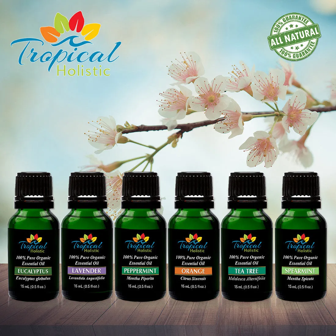 Organic Essential Oil Aromatherapy Starter Kit, (Pack of 6/15ml) 