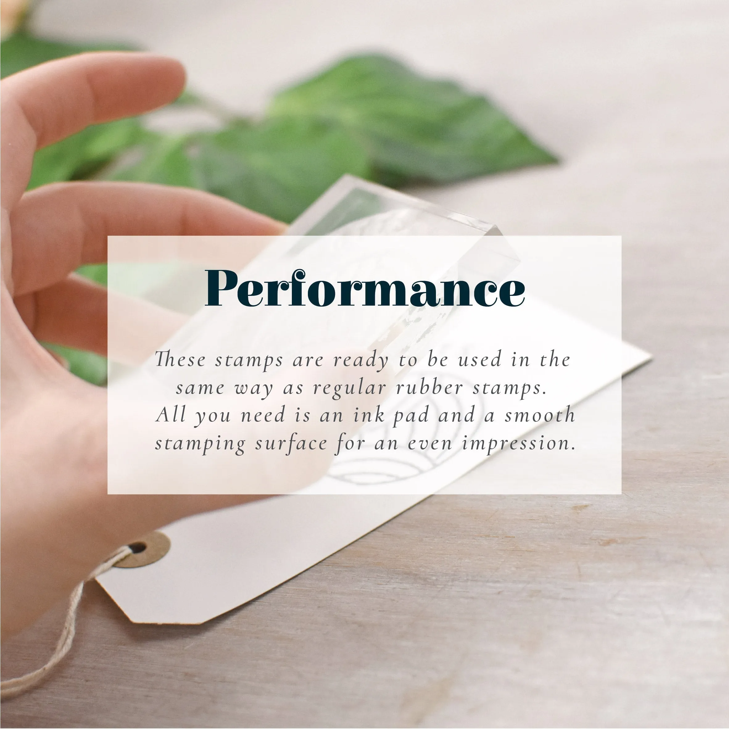 Oval Rosemary Envelope Address Lines Stamp