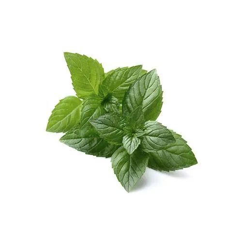 PEPPERMINT 15ml <h6> Mentha X Piperita (organic)</h6>