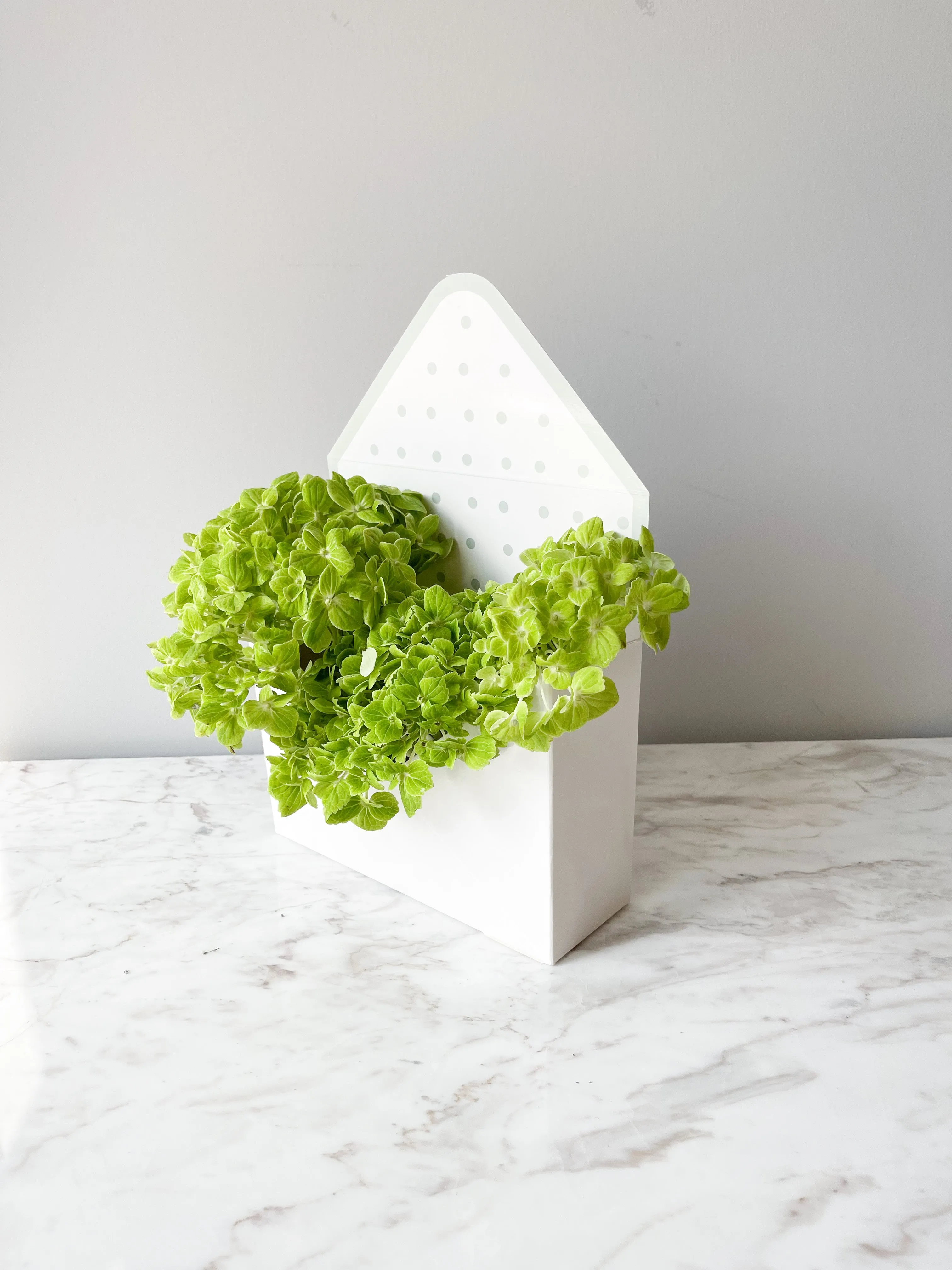 Polka Dot Envelope Shape Flower Box in Variety Color