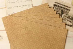 Postcard Envelope - Check