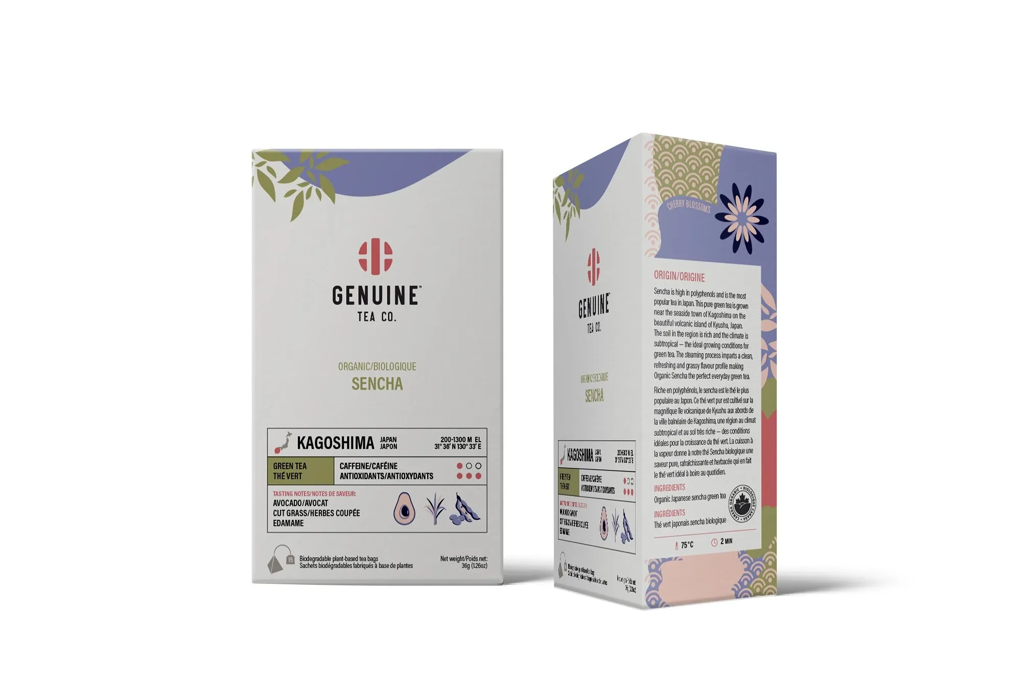 Pyramid Tea Bags - Organic Sencha Green Tea  - Genuine Tea Company - Toronto - Canada