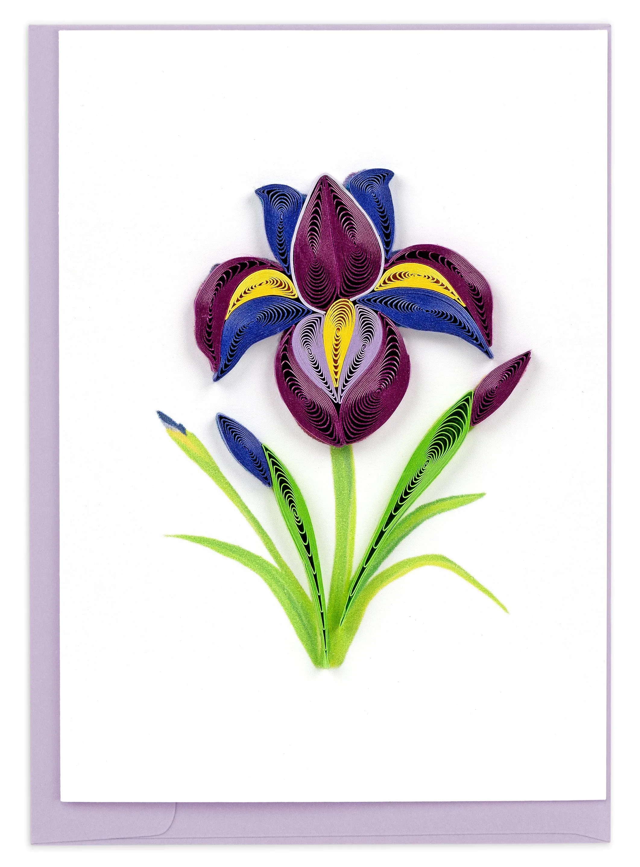 Quilled Iris Flower Gift Enclosure Mini Card